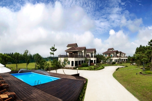 더갤러리 클래식