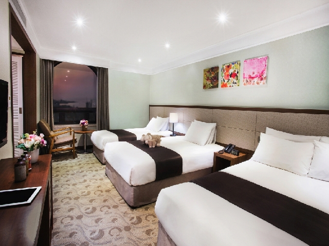 트리플-3인조식포함