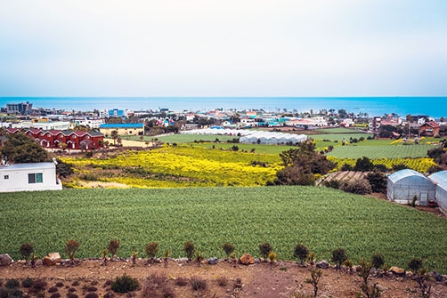 IRO (이로제주)