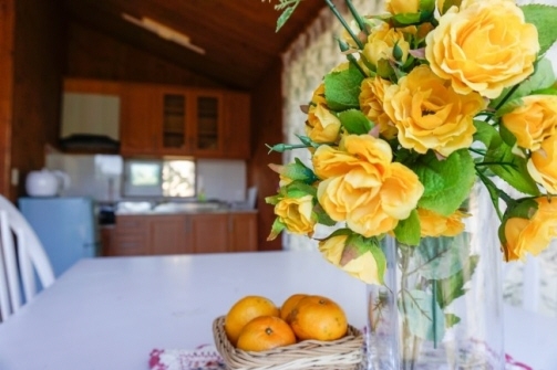 카시오페아1 (18평)