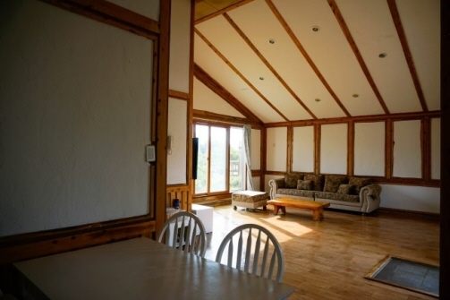 페가수스 (25평)