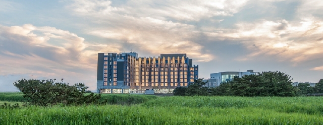 디아일랜드마리나