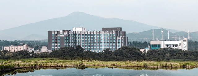 디아일랜드마리나