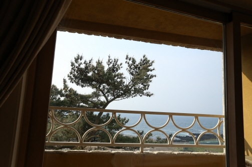 호텔형 12평 (취사불가)