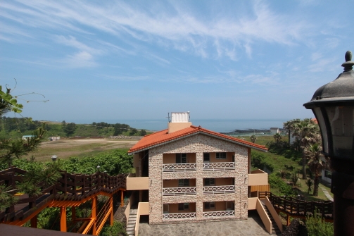 마녀가탄빗자루