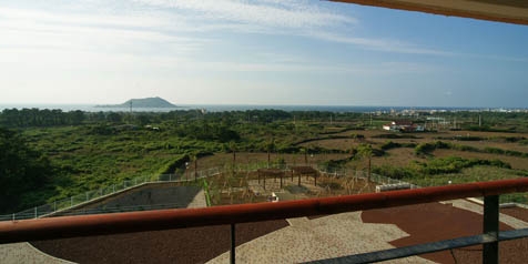 38평 패밀리-조식불포함