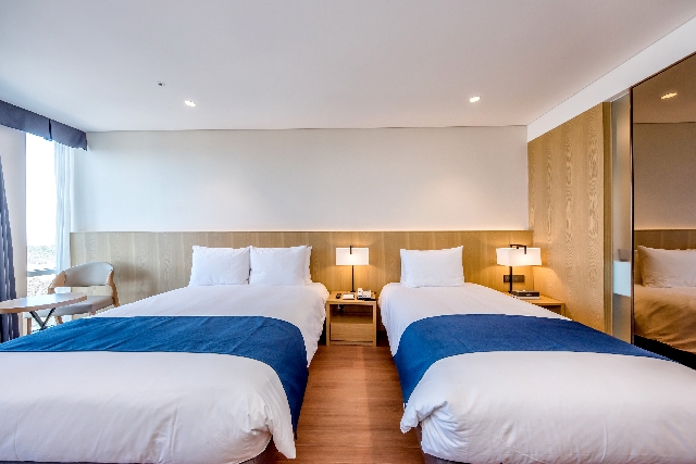 스탠다드 패밀리