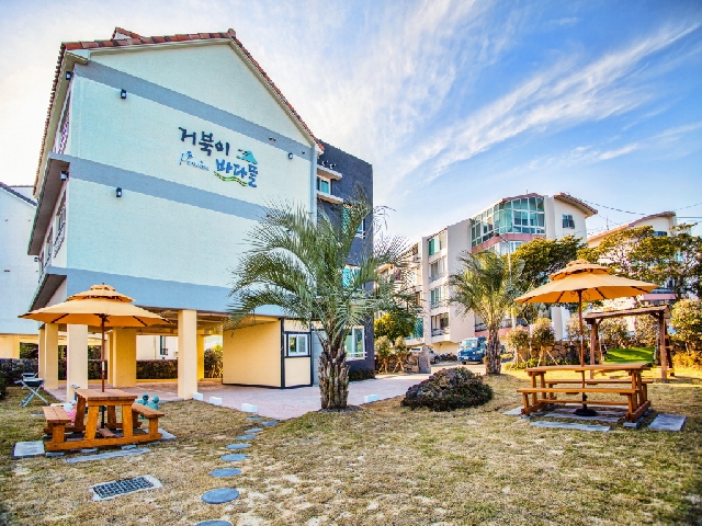 하얀달바당 펜션