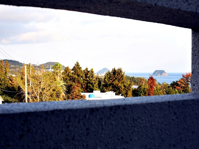 17평 패밀리 양실