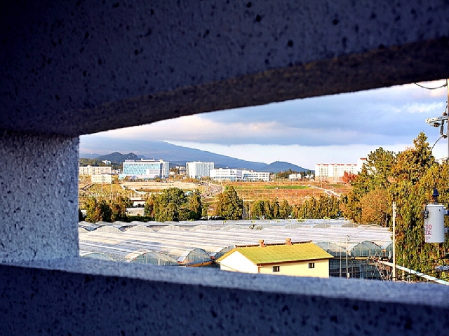 17평 패밀리 양실