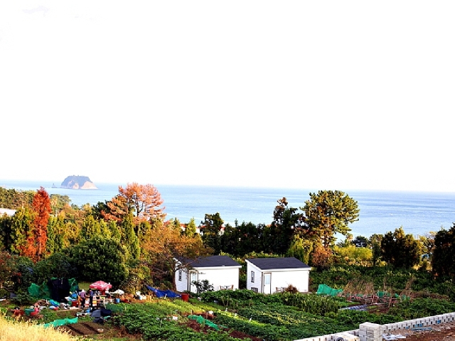 17평 패밀리 양실