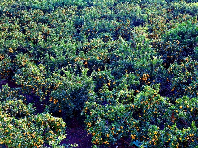 17평 패밀리 한실