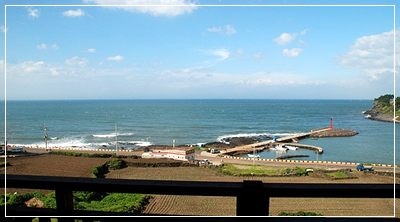 스페셜 룸 (16평특실)