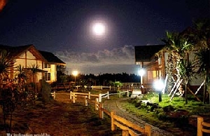 제주야생초펜션