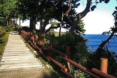 코코비치리조트