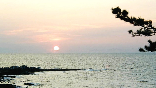 톨레도(쁘띠몽마르뜨)