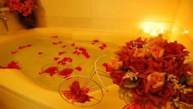 스텔라 바다전망