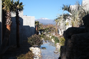 비스비제주 앤 팜빌리지