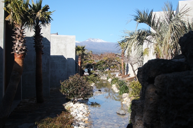 비스비제주 앤 팜빌리지