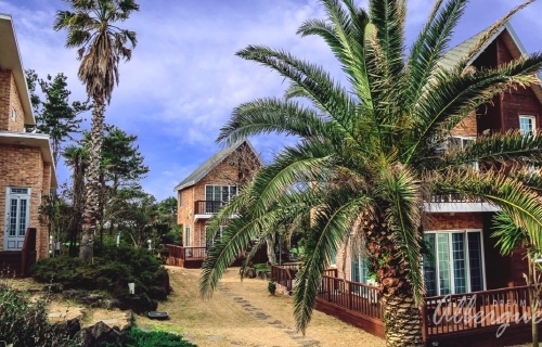 알베르게펜션(성산점)