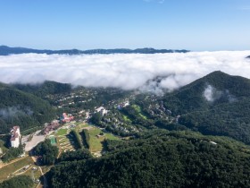 용평리조트ㅣ그린피아